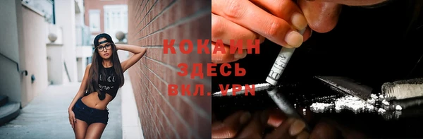стаф Алексин