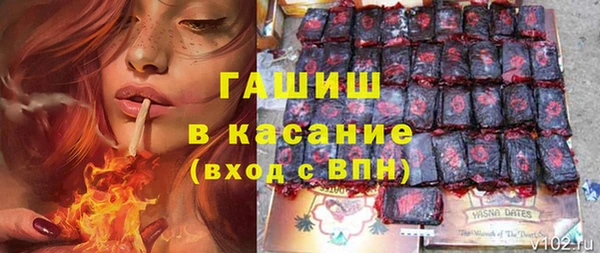 стаф Алексин