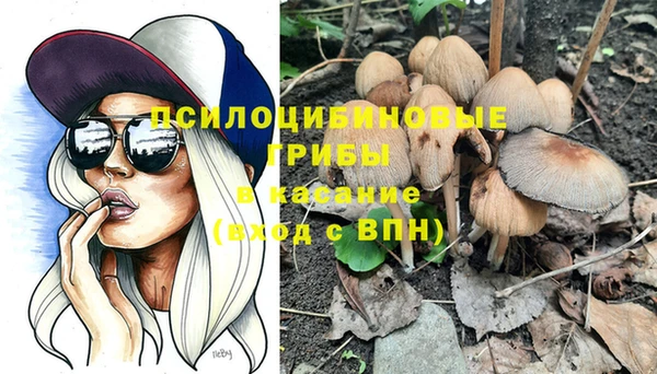стаф Алексин