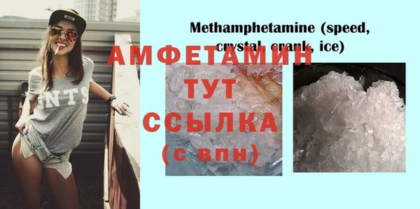 стаф Алексин