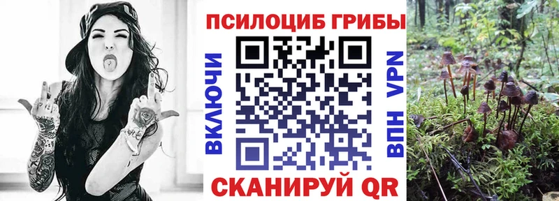 Псилоцибиновые грибы MAGIC MUSHROOMS купить наркотики цена Камызяк